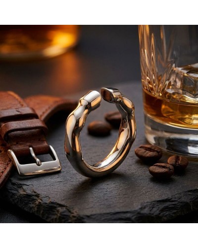 Bague TROT homme en argent rhodié: bague sculptée en forme de serpent courbé avec finition argentée, accompagnée d’un bracelet e