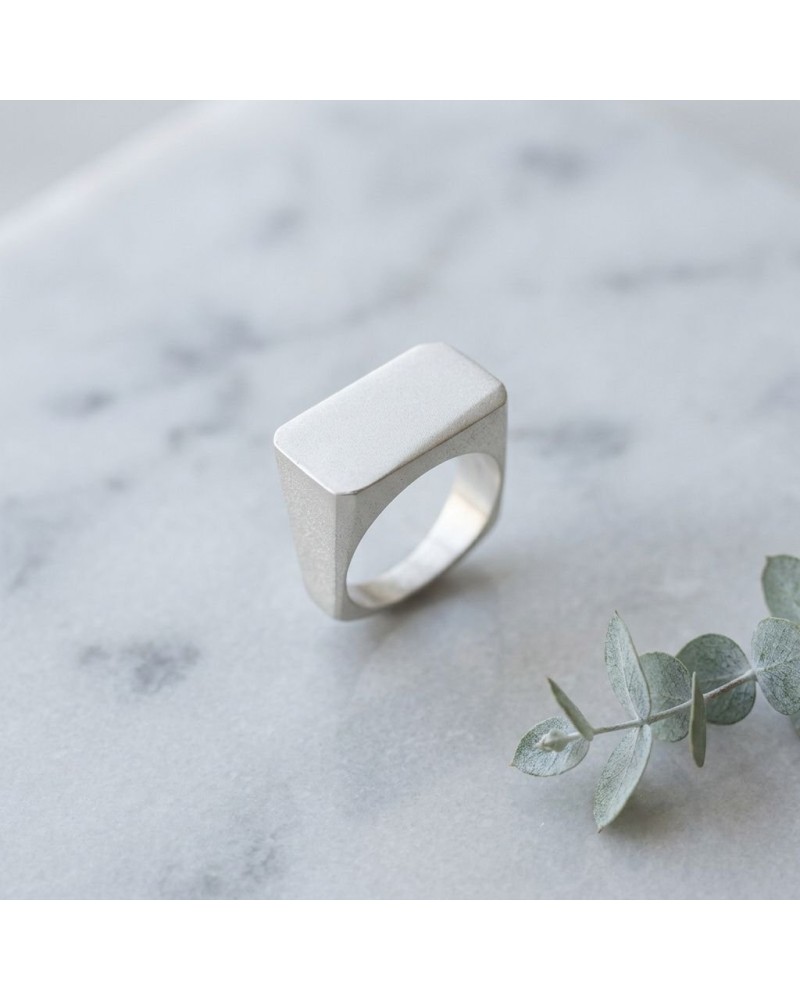 Bague rectangulaire moderne en métal mate, design minimaliste, pieds évasés, pose sur pierre avec brindille verte.